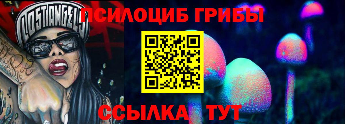 Псилоцибиновые грибы Psilocybe Усть-Джегута
